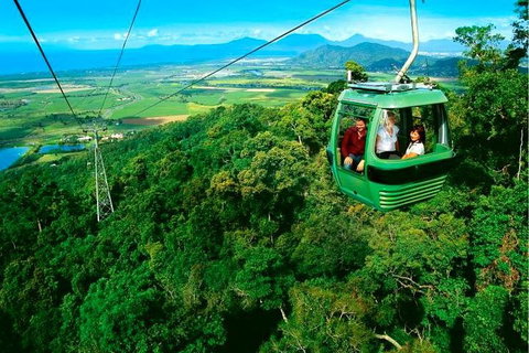 4-Day Cairns Ultimate Combo: Daintree Rainforest, Reef, Kuranda & Paronella Park - Attractions Brisbane 1