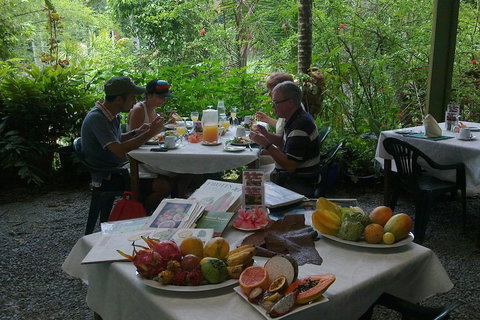 4-Day Cairns Ultimate Combo: Daintree Rainforest, Reef, Kuranda & Paronella Park - Attractions Brisbane 4