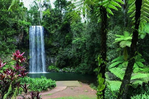 Paronella Park And Millaa Millaa Falls Full-day Tour From Cairns - Attractions Brisbane 3