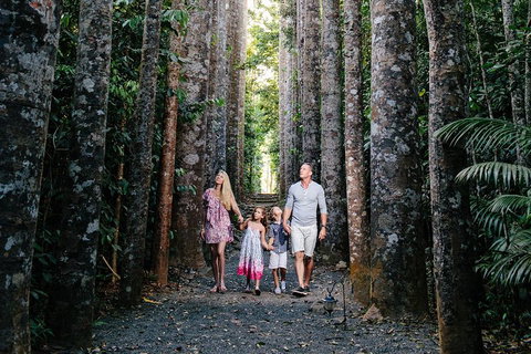 Paronella Park And Millaa Millaa Falls Full-day Tour From Cairns - Attractions Brisbane 5