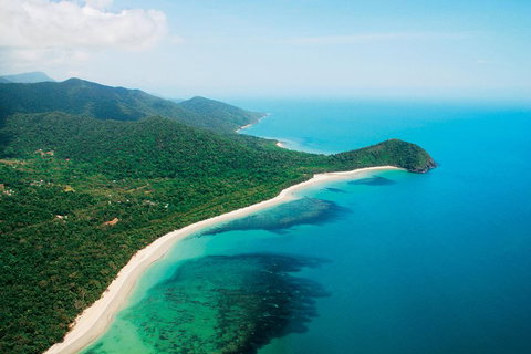 Cape Tribulation, Mossman Gorge, And Daintree Rainforest Premium Day Tour - Attractions Brisbane 2