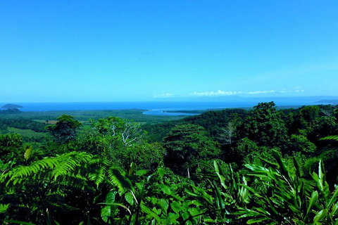 Cape Tribulation, Mossman Gorge, And Daintree Rainforest Premium Day Tour - Attractions Brisbane 5