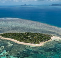 4-Day Cairns with Great Barrier Reef and Daintree Rainforest - Attractions Brisbane