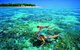 4-Day Cairns With Great Barrier Reef And Daintree Rainforest - thumb 2