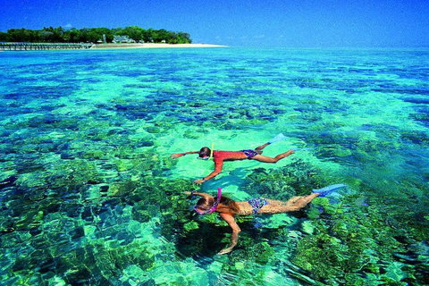 4-Day Cairns With Great Barrier Reef And Daintree Rainforest - Attractions Brisbane 2