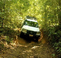 Cairns National Park Rainforest and Waterfall Small Group Tour Shore Excursion - Attractions Brisbane