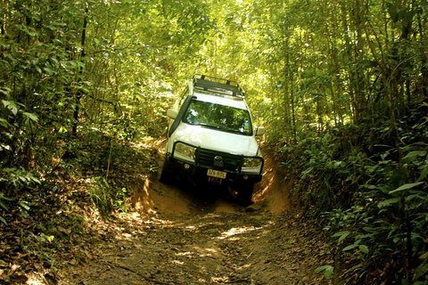 Cairns National Park Rainforest And Waterfall Small Group Tour Shore Excursion - Attractions Brisbane 0