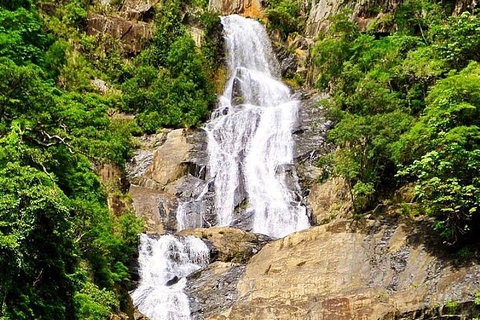 Cairns National Park Rainforest And Waterfall Small Group Tour Shore Excursion - Attractions Brisbane 4