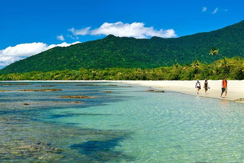 Private Daintree National Park Day Tour From Cairns Including Cape Tribulation And Mossman Gorge - Attractions Brisbane 0