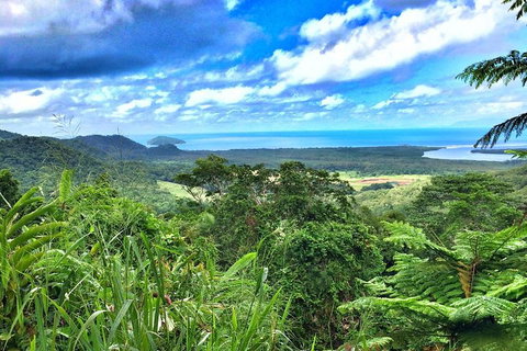 Private Daintree National Park Day Tour From Cairns Including Cape Tribulation And Mossman Gorge - Attractions Brisbane 2