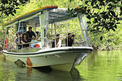 Private Daintree National Park Day Tour From Cairns Including Cape Tribulation And Mossman Gorge - Attractions Brisbane 5
