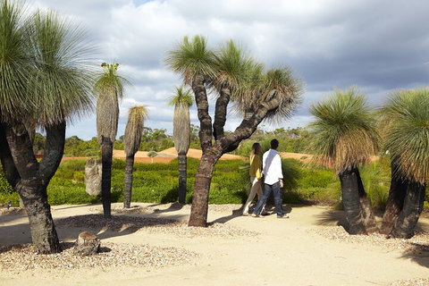 1 Day Exclusively Private Tour Of Phillip Island & The Penguin Parade - Attractions Brisbane 0