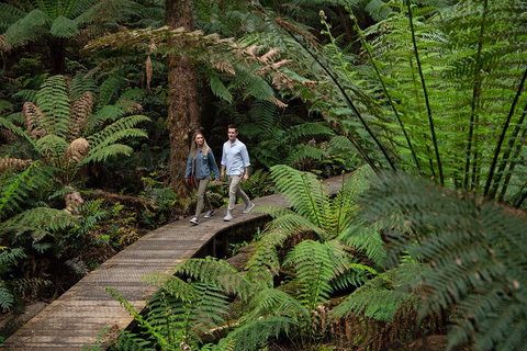 2 Day Exclusively Private Tour Of Phillip Island & The Great Ocean Road - Attractions Brisbane 5