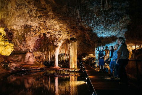 Three Day Charter Margaret River Region (inbound Melbourne Travelers) - Attractions Brisbane 2
