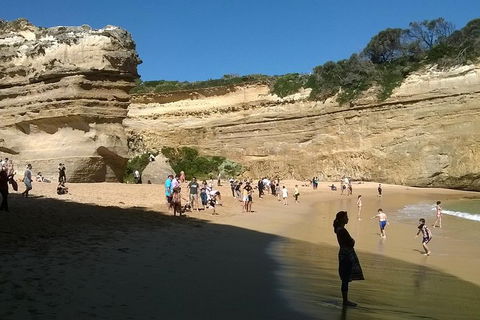 Great Ocean Road Full Day Private Experience - Attractions Brisbane 3