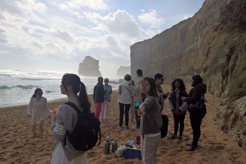 Great Ocean Road Full Day Private Experience - Attractions Brisbane 4