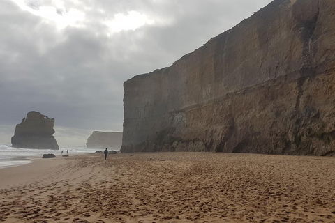 Private Express Experience - 12 Apostles - Attractions Brisbane 4