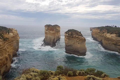Private Express Experience - 12 Apostles - Attractions Brisbane 5