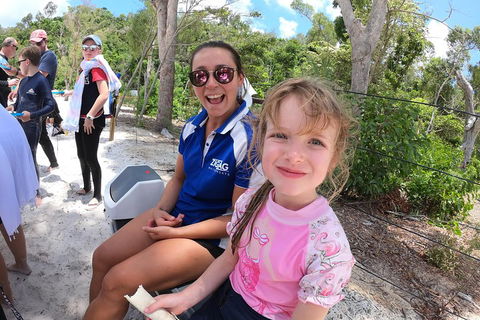 Whitehaven Beach Day Tour With Snorkel In Whitsundays Island - Attractions Brisbane 1