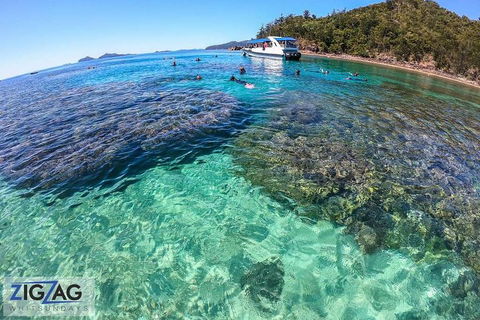 Whitehaven Beach Day Tour With Snorkel In Whitsundays Island - Attractions Brisbane 5