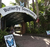 Kuranda Day Trip from Port Douglas upgrade to Skyrail  Scenic train available - Attractions Brisbane