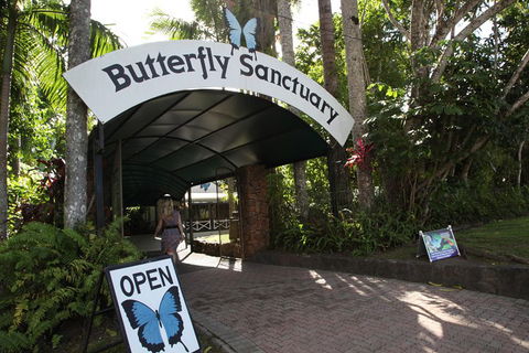 Kuranda Day Trip From Port Douglas Upgrade To Skyrail & Scenic Train Available - Attractions Brisbane 0