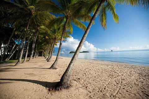 Kuranda Day Trip From Port Douglas Upgrade To Skyrail & Scenic Train Available - Attractions Brisbane 1