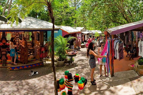 Kuranda Day Trip From Port Douglas Upgrade To Skyrail & Scenic Train Available - Attractions Brisbane 2