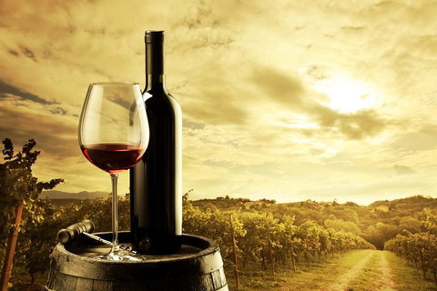 McLaren Vale Luxury Wine Tour - Attractions Brisbane 0
