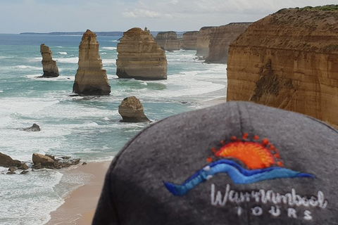 12 Apostles Tour From Warrnambool - Attractions Brisbane 4