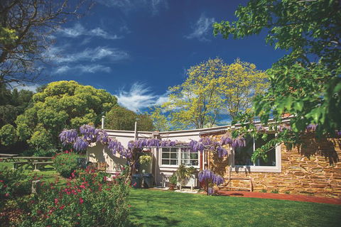 McLaren Vale Winery Small Group Tour With Wine Tasting And Lunch - Attractions Brisbane 2