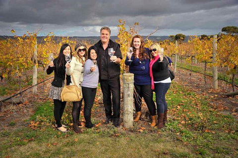 McLaren Vale Winery Small Group Tour With Wine Tasting And Lunch - Attractions Brisbane 3