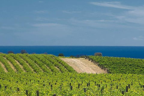 McLaren Vale Winery Small Group Tour With Wine Tasting And Lunch - Attractions Brisbane 4