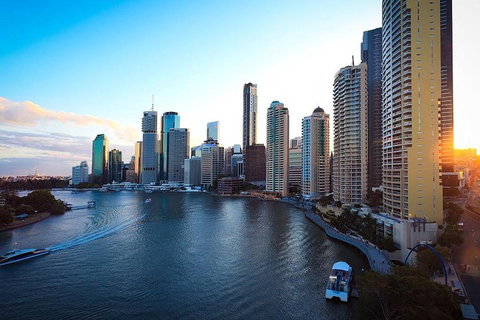 Brisbane City Highlights With Lone Pine! - Attractions Brisbane 3