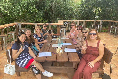 Mt Tamborine ScenicRim Deluxe Wine Tasting And Sightseeeing Tour - Attractions Brisbane 2