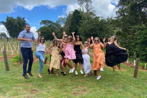 Mt Tamborine ScenicRim Deluxe Wine Tasting And Sightseeeing Tour - Attractions Brisbane 4