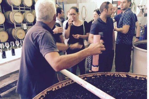 Luxury Private Mclaren Vale Wine Tour - Attractions Brisbane 4