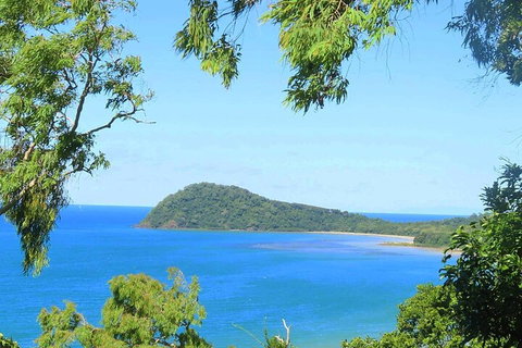 Full Day Tour In The Daintree - Attractions Brisbane 1