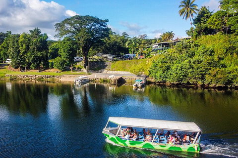 Full Day Tour In The Daintree - Attractions Brisbane 2