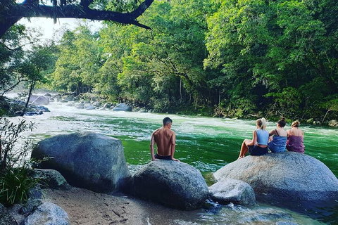 Full Day Tour In The Daintree - Attractions Brisbane 3