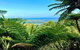 Full Day Tour In The Daintree - thumb 5