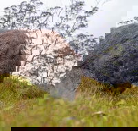 3-Day Cradle Mountain Photography Workshop - Attractions Brisbane