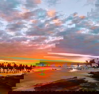 1 Hour Broome Sunset Camel Tour - Attractions Brisbane