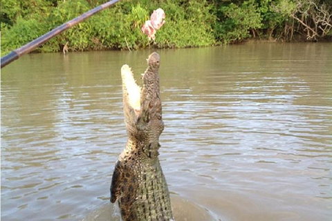 Litchfield National Park And Jumping Crocodile Cruise - Attractions Brisbane 2