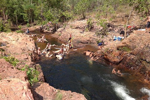 Litchfield National Park And Jumping Crocodile Cruise - Attractions Brisbane 5