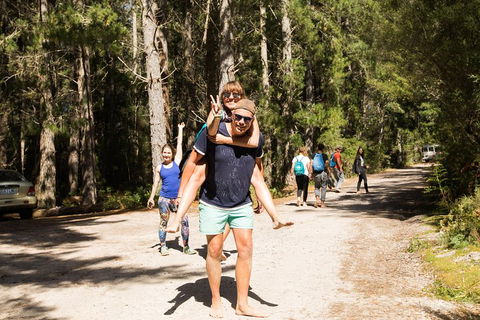 7-Day Best Of Tasmania Adventure Experience From Hobart (flexible Ticket) - Attractions Brisbane 5