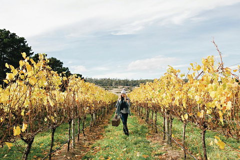 One-Way East Coaster - Attractions Brisbane 1