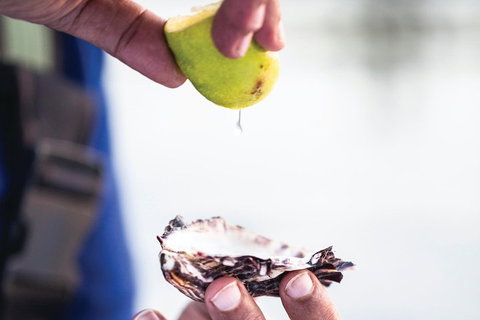 One-Way East Coaster - Attractions Brisbane 3