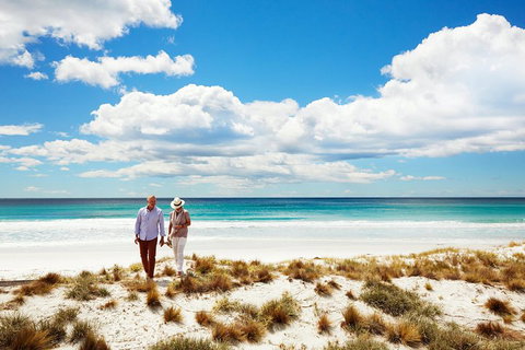 One-Way East Coaster - Attractions Brisbane 4