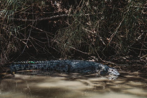 Kakadu Full-Day Tour From Darwin With Lunch - Attractions Brisbane 4